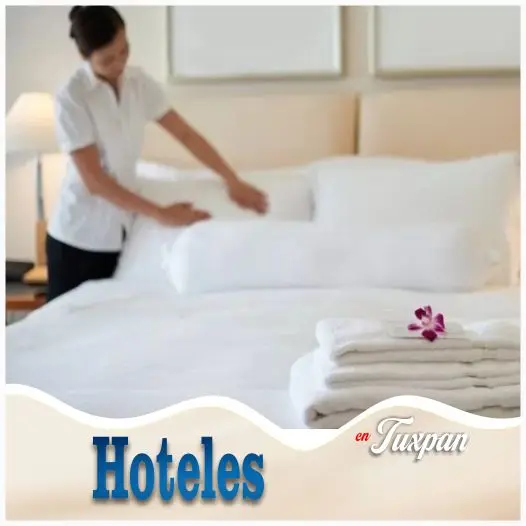 Aquí están los hoteles más elegidos por nuestros usuarios en tu Guía en Tuxpan. Encuentra la opción más adecuada para tu viaje.